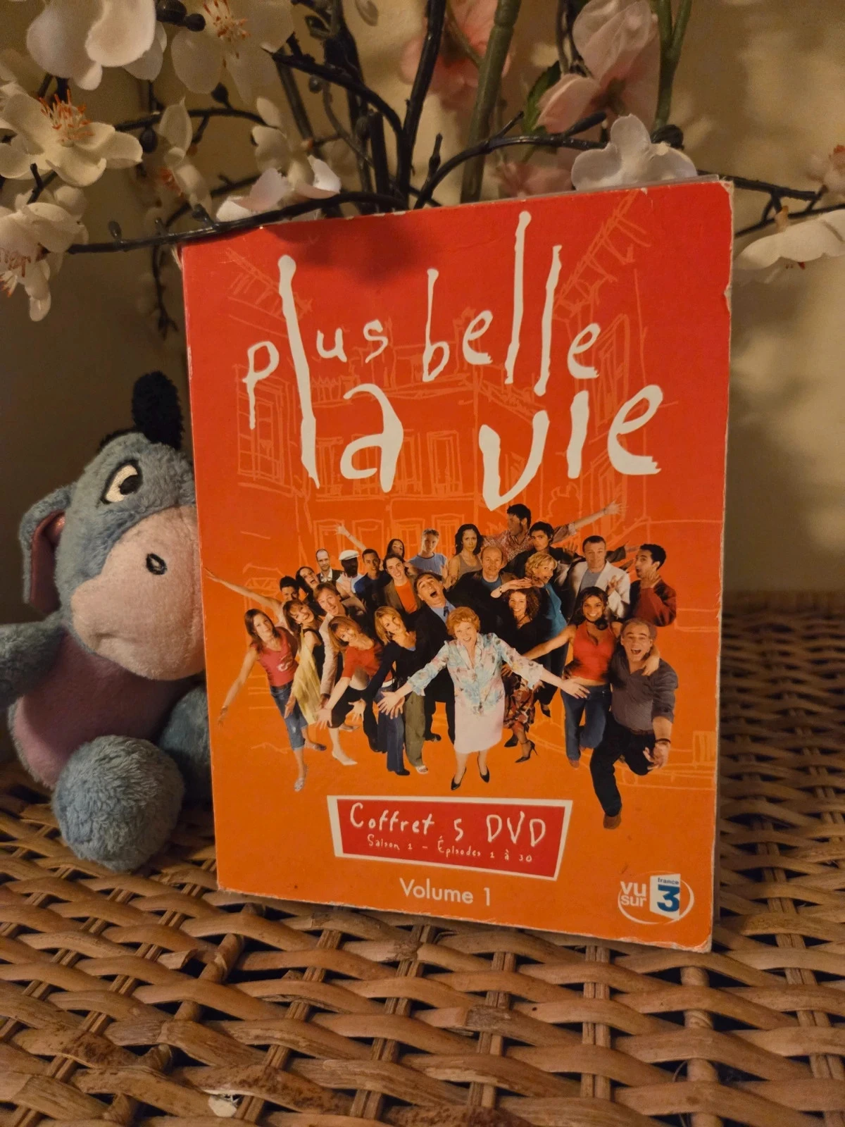 💜Plus belle la vie coffret complet